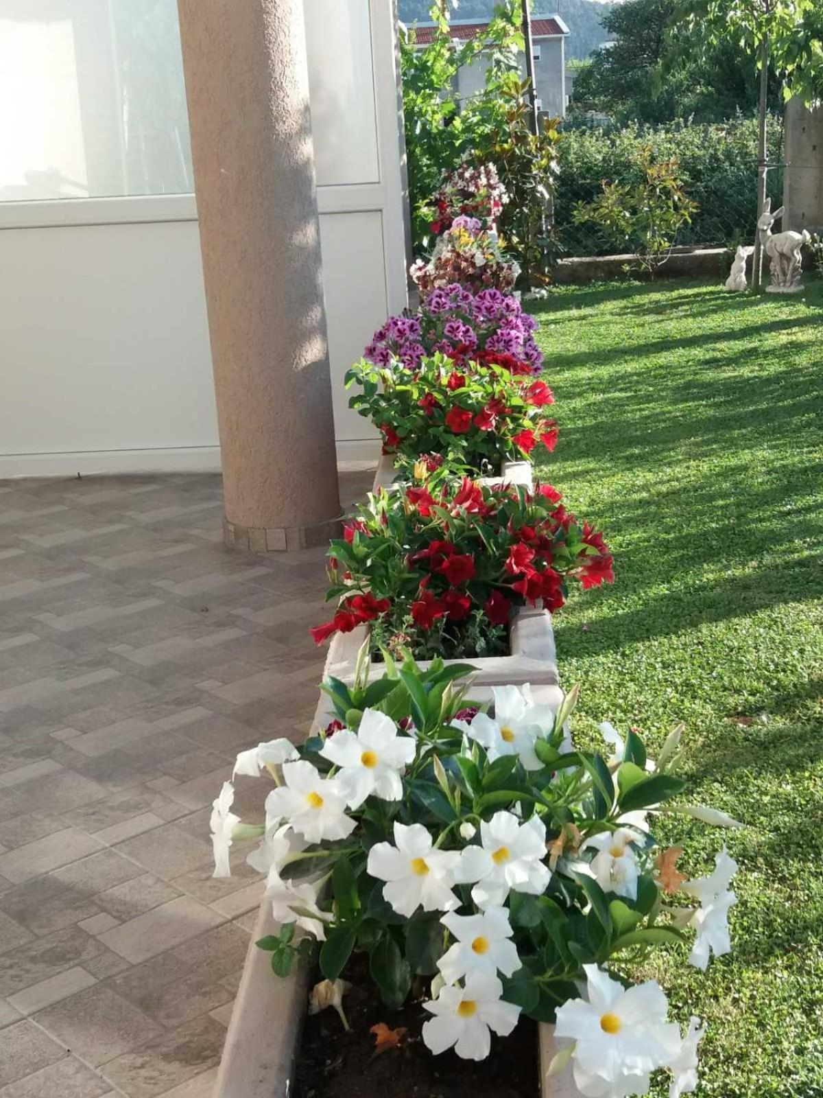 Oassis Apartman Bar Szoba fotó
